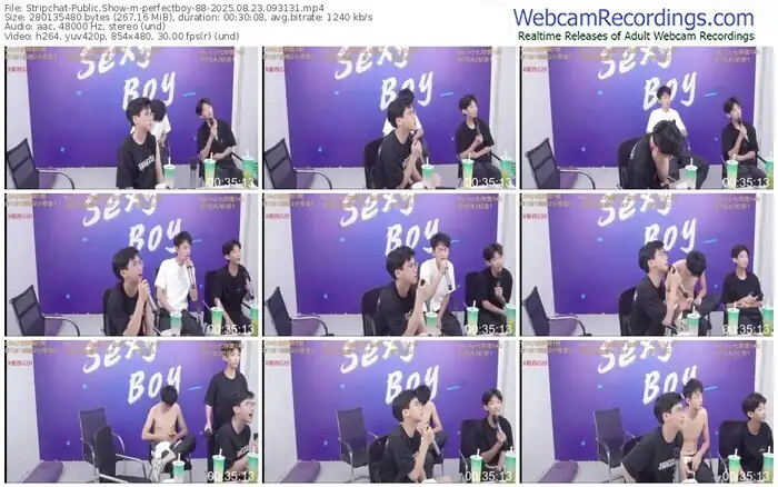 stripchat-perfectboy-88-08-23-2025-09-31-31