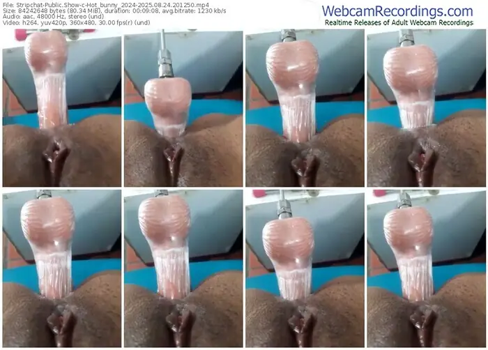stripchat-hot_bunny_2024-08-24-2025-20-12-50