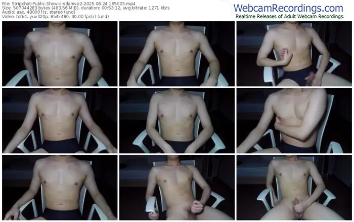 stripchat-sdamvo2-08-24-2025-16-50-03