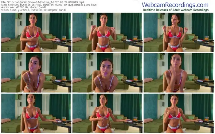 stripchat-addictive_t-08-24-2025-00-56-19