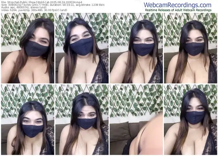 stripchat-bold-cat-08-24-2025-20-00-34