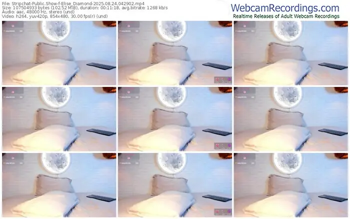 stripchat-elise_diamond-08-24-2025-04-29-02