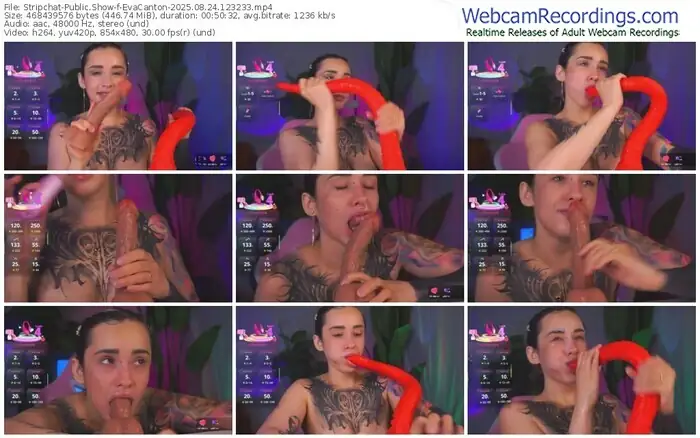 stripchat-evacanton-08-24-2025-12-32-33