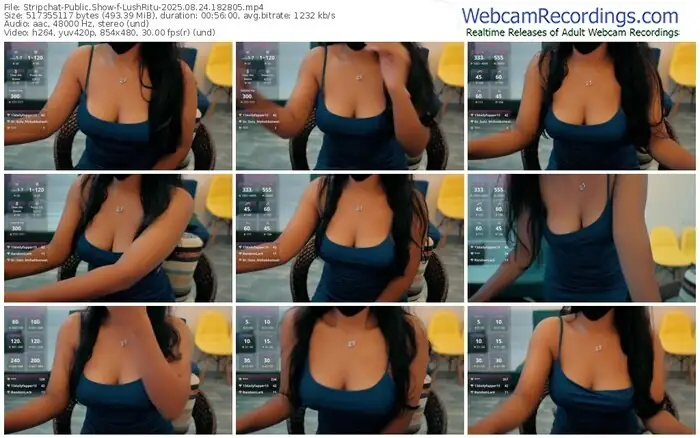 stripchat-lushritu-08-24-2025-18-28-05