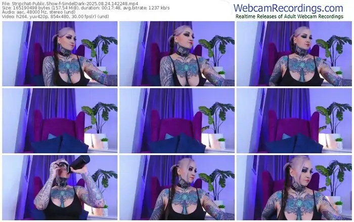 stripchat-sindeldark-08-24-2025-14-22-48