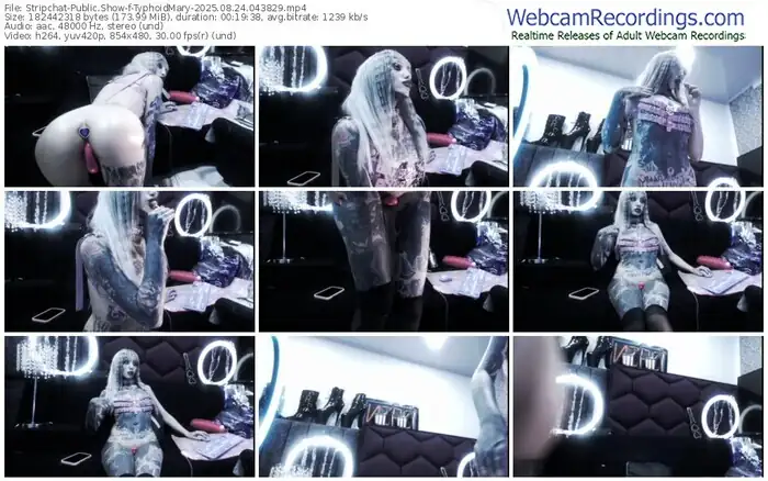 stripchat-typhoidmary-08-24-2025-04-38-29