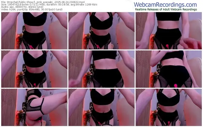 stripchat-_pink_wassabi_-08-24-2025-23-08-22