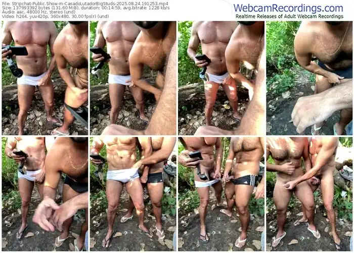 stripchat-casadolutadorbigstuds-08-24-2025-19-12-53