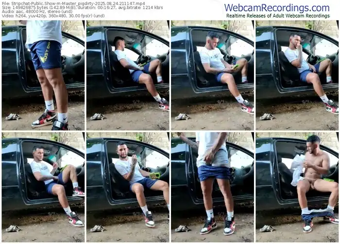 stripchat-master_pigdirty-08-24-2025-21-11-47