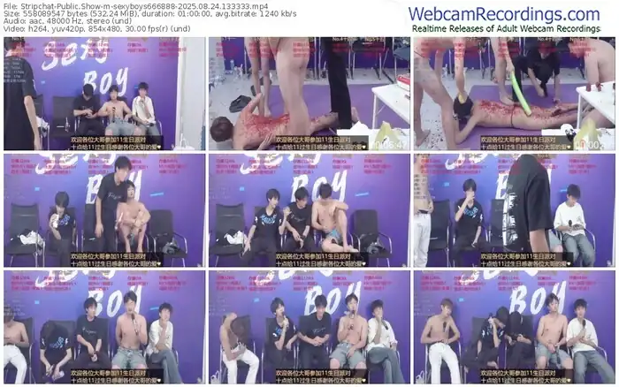 stripchat-sexyboys666888-08-24-2025-13-33-33