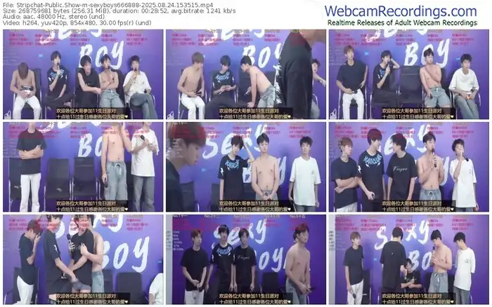 stripchat-sexyboys666888-08-24-2025-15-35-15