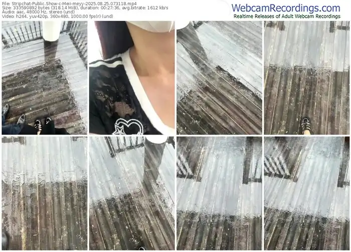 stripchat-meii-meyy-08-25-2025-07-31-18