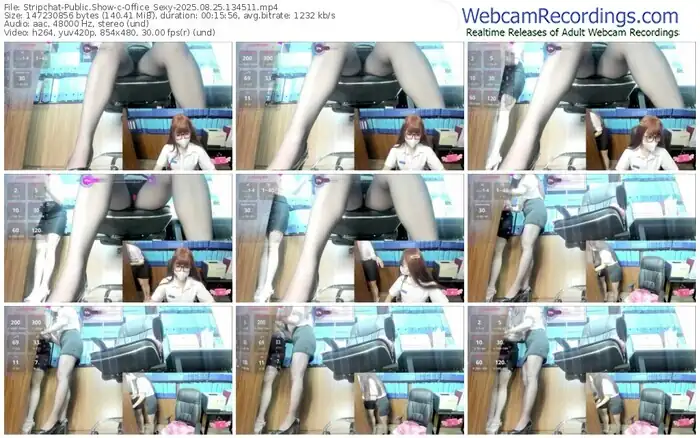 stripchat-office_sexy-08-25-2025-13-45-11