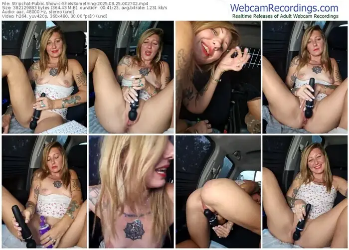 stripchat-sheissomething-08-25-2025-00-27-02