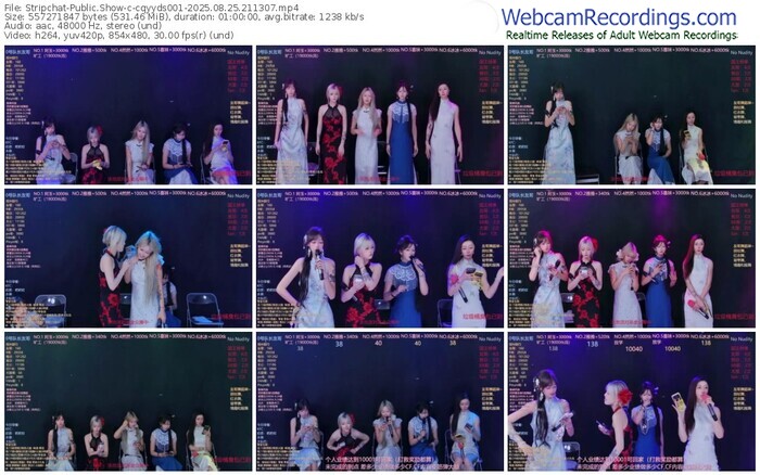 stripchat-cqyyds001-08-25-2025-21-13-07