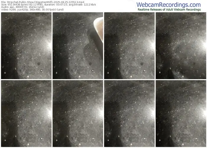 stripchat-egyptianmilf1-08-25-2025-22-55-13