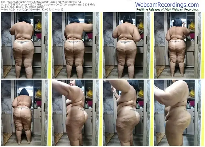 stripchat-malvina911-08-25-2025-05-08-32