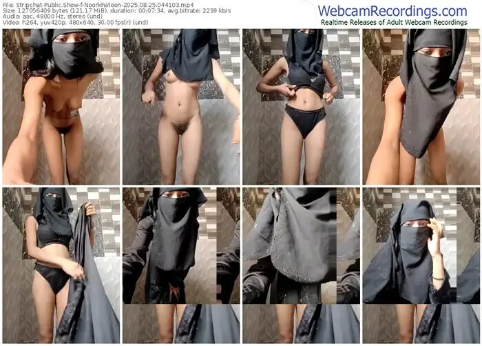stripchat-noorkhatoon-08-25-2025-04-41-03