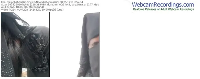 stripchat-noorkhatoon-08-25-2025-12-51-12