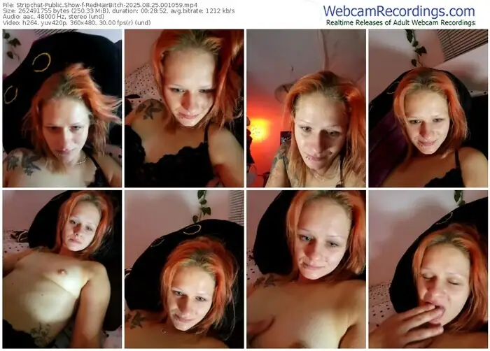 stripchat-redhairbitch-08-25-2025-00-10-59