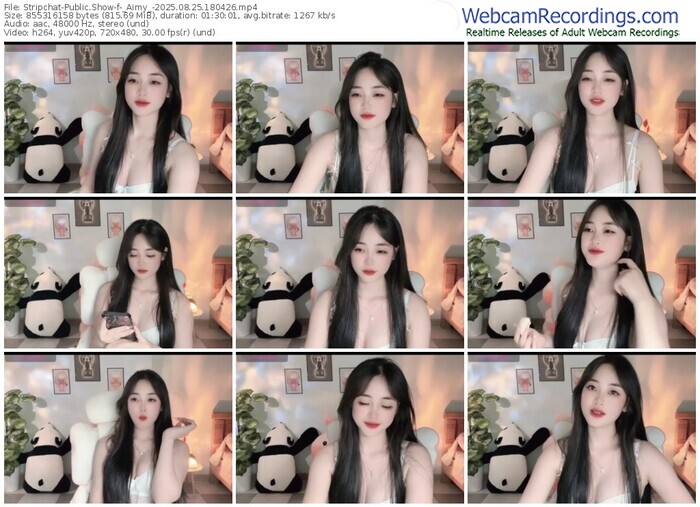 stripchat-_aimy_-08-25-2025-18-04-26
