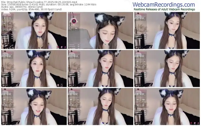 stripchat-cookie-77-08-25-2025-22-43-20