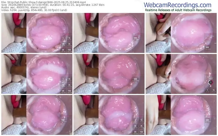 stripchat-danigirl866-08-25-2025-21-04-08