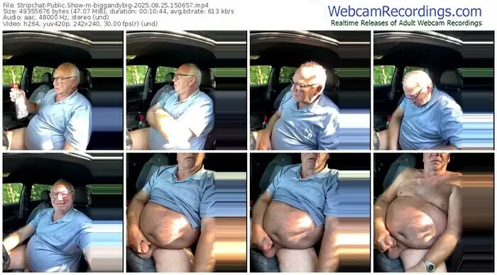 stripchat-biggandybig-08-25-2025-15-06-57