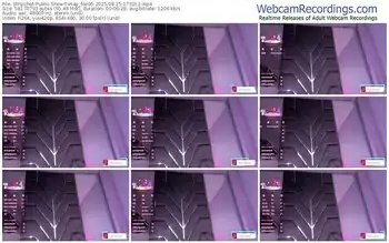 stripchat-may_fox06-08-25-2025-17-32-12