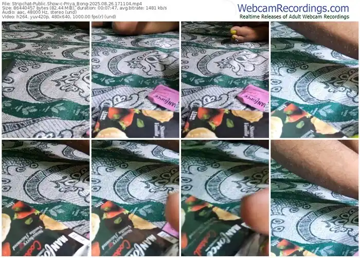 stripchat-priya_bong-08-26-2025-17-11-04