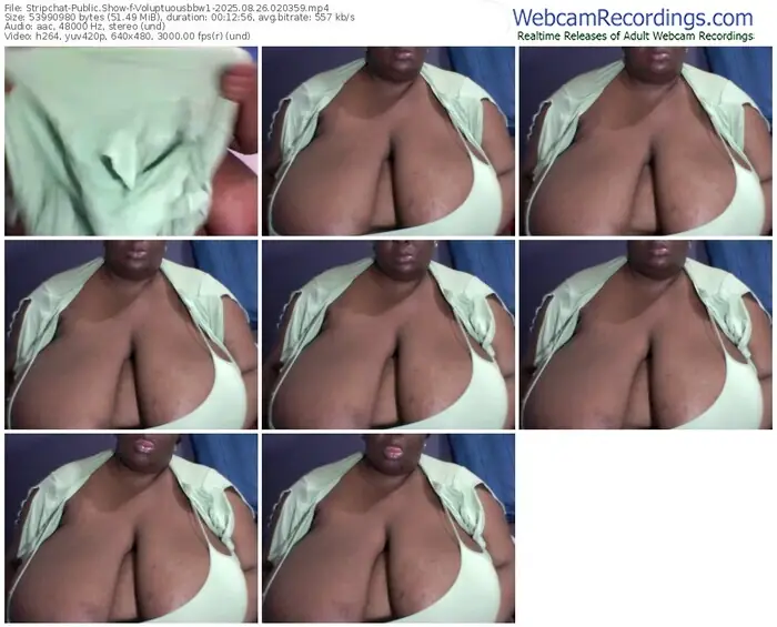 stripchat-voluptuousbbw1-08-26-2025-02-03-59