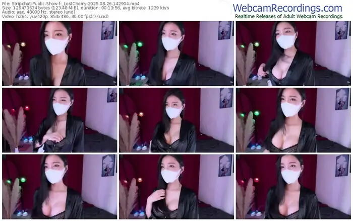 stripchat-_lostcherry-08-26-2025-14-29-04