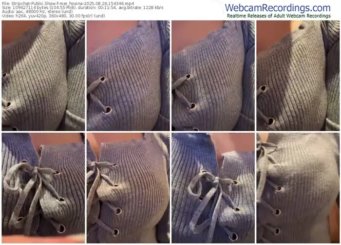 stripchat-mei_hosina-08-26-2025-15-43-46