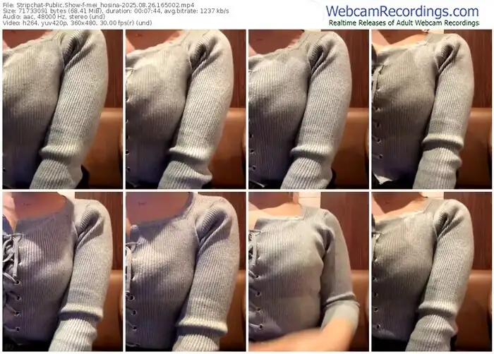 stripchat-mei_hosina-08-26-2025-16-50-02