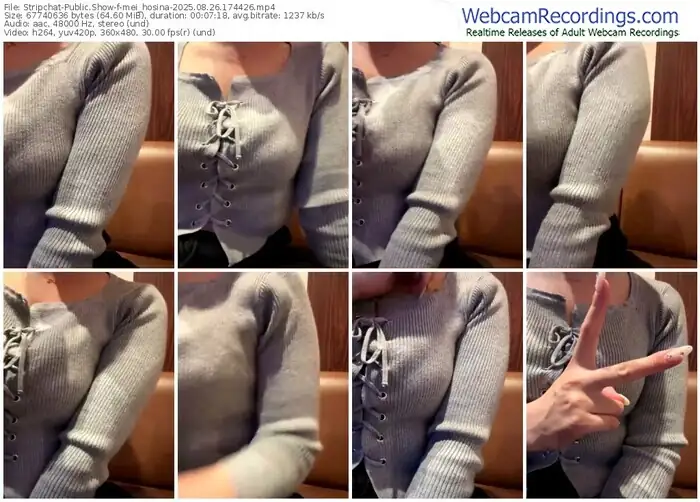 stripchat-mei_hosina-08-26-2025-17-44-26