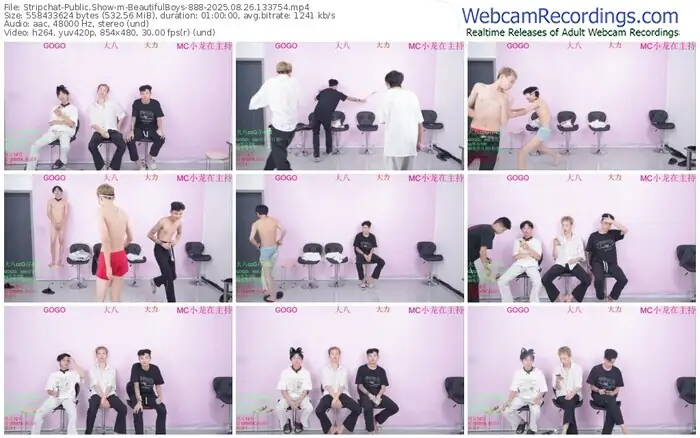 stripchat-beautifulboys-888-08-26-2025-13-37-54