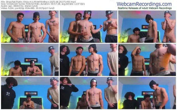 stripchat-littlewhiteboys-08-26-2025-07-14-50