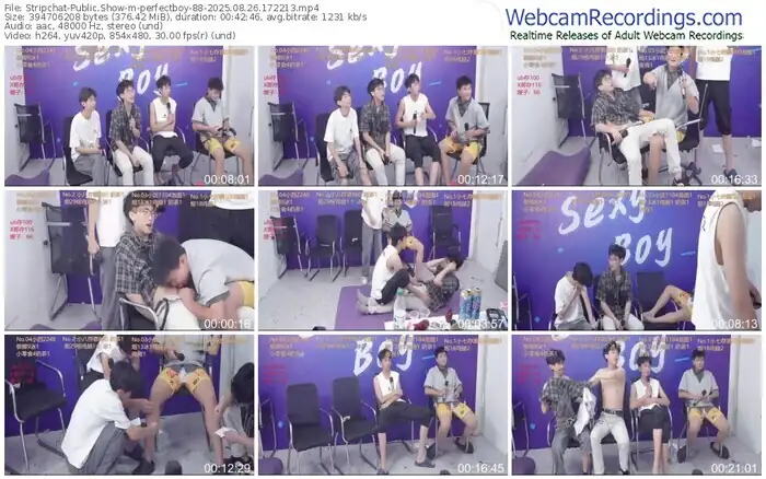 stripchat-perfectboy-88-08-26-2025-17-22-13