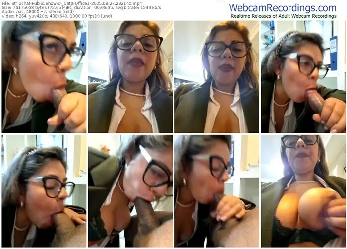 stripchat-_cata-office1-08-27-2025-23-21-40