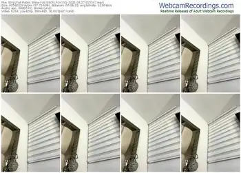 stripchat-alisson_foxxx1-08-27-2025-01-53-47