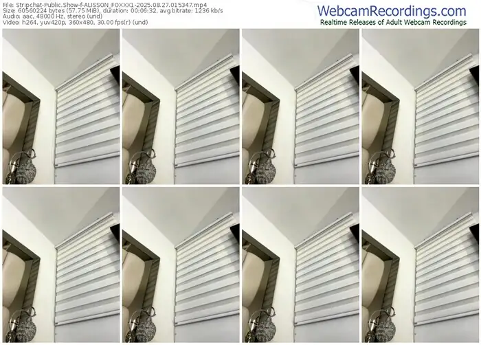 stripchat-alisson_foxxx1-08-27-2025-01-53-47