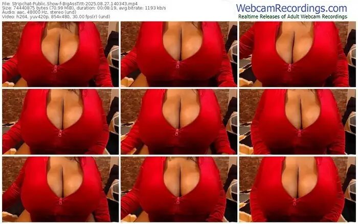 stripchat-bigasstitt-08-27-2025-14-03-43