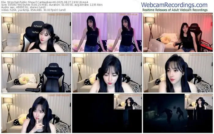 stripchat-canbaobao-kk-08-27-2025-19-31-18