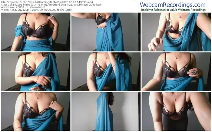 stripchat-gleaming-butterfly-08-27-2025-14-33-33