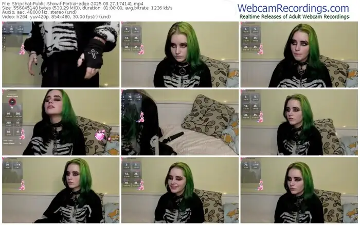 stripchat-portiahedge-08-27-2025-17-41-41