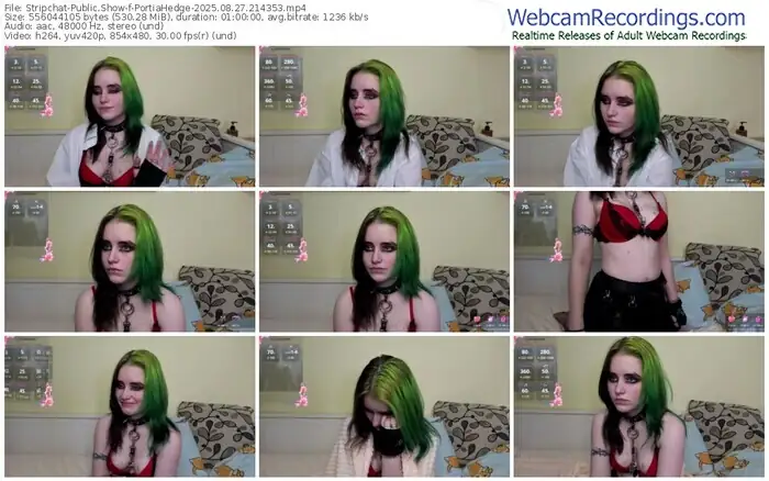 stripchat-portiahedge-08-27-2025-21-43-53