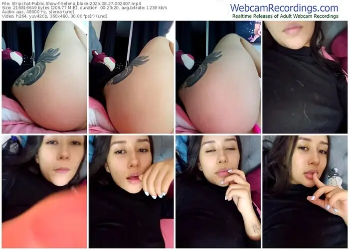 stripchat-selena_blake-08-27-2025-00-24-07