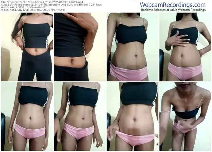 stripchat-small_titss-08-27-2025-12-06-03