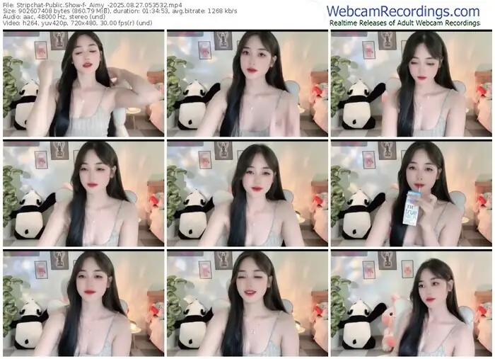 stripchat-_aimy_-08-27-2025-05-35-32