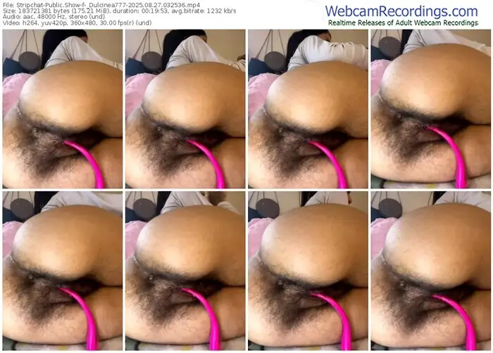 stripchat-_dulcinea777-08-27-2025-03-25-36
